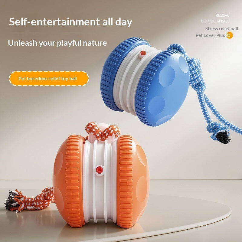 Pet Plastic Toy Rechargeable Rolling Ball For Cats And Dogs Durable And Interactive