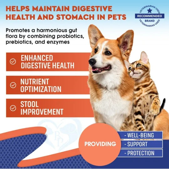 Probiotics Prebiotics With Enzymes For Dogs And Cats Digestive Gut Flora Health Pet Food Supplements