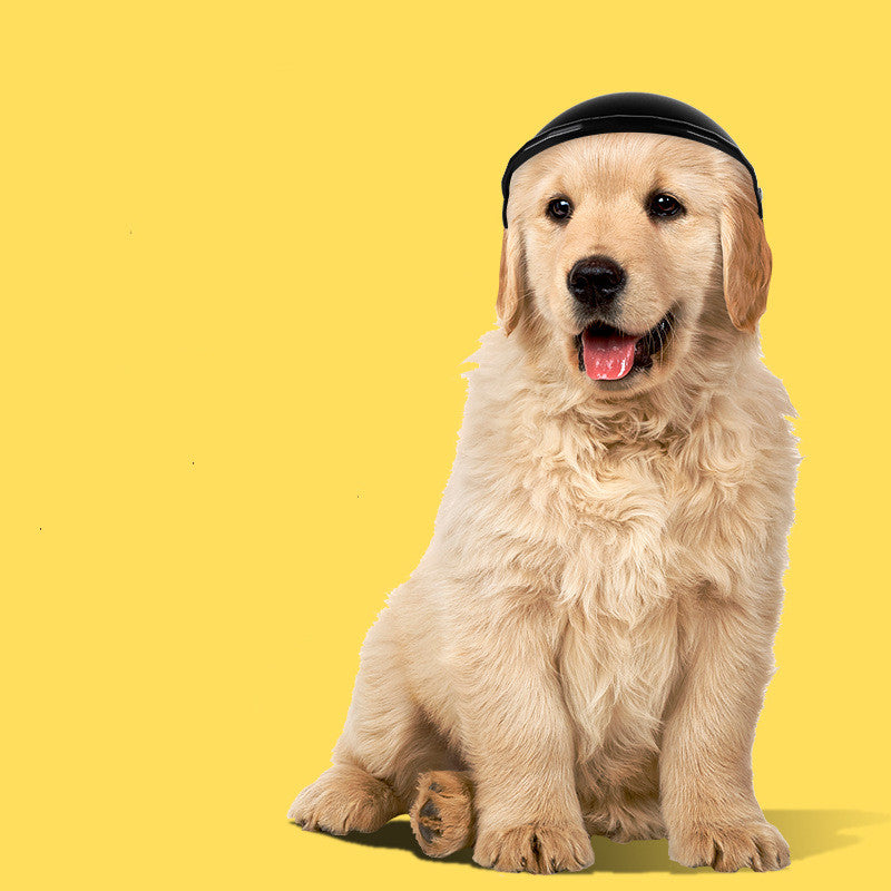 S Size Pet Helmet Pet Motorcycle Safety