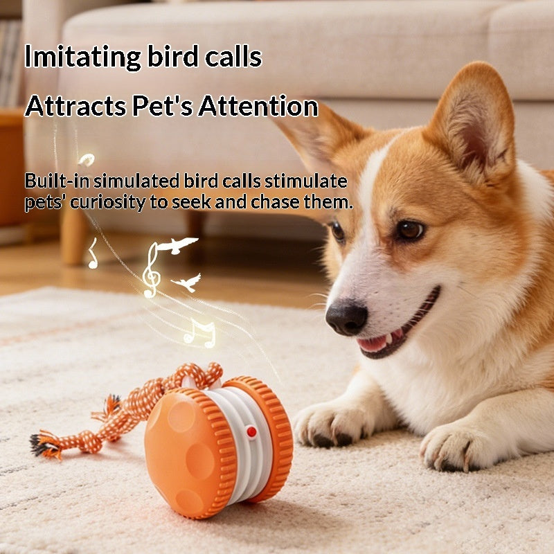 Pet Plastic Toy Rechargeable Rolling Ball For Cats And Dogs Durable And Interactive