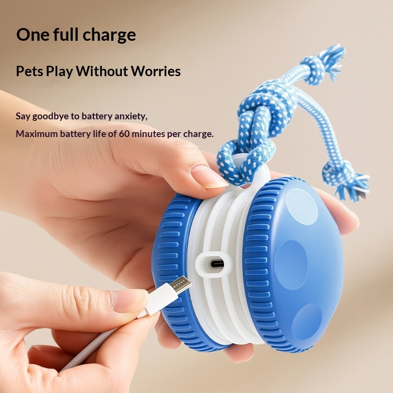 Pet Plastic Toy Rechargeable Rolling Ball For Cats And Dogs Durable And Interactive