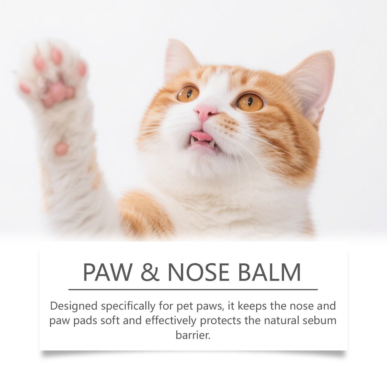 Pet Moisturizing Care